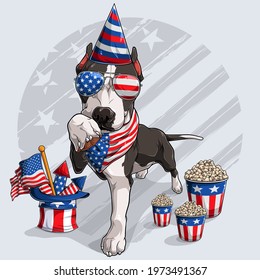 Cute black Pitbull dog with American independence day elements 4th of July and memorial day 