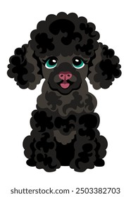 Cute black poodle puppy. Vector isolated illustration.