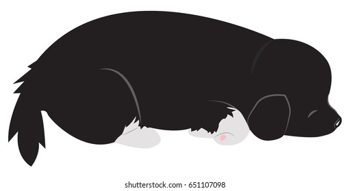 The cute black puppy is sleep. Vector cartoon illustration