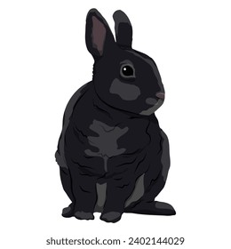 Cute black rabbit. Realistic vector animal