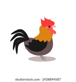 Cute black rooster cartoon standing isolated on white background. Chicken graphic vector illustration