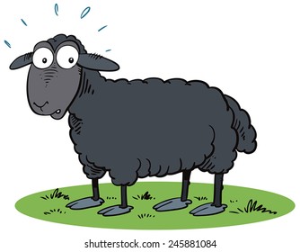 Cute Black Sheep