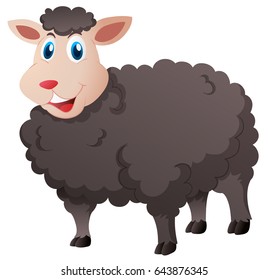 Cute Black Sheep On White Background Stock Vector (Royalty Free ...