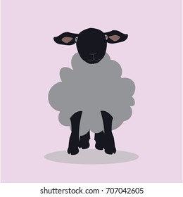 Cute black sheep vector illustration