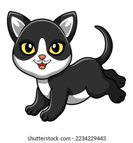 Cute black smoke cat cartoon