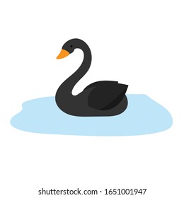 cute black swan swim in pool in vector, cartoon black swan