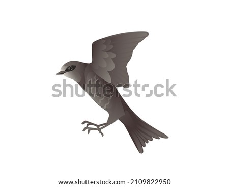 Cute black swift flying on white background cartoon bird animal design