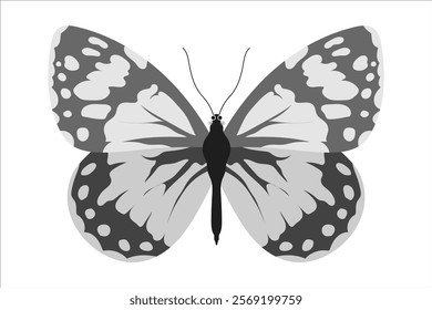 Cute black and white butterfly. Vector simple color flat illustration.