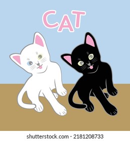 Cute Black and White Cat