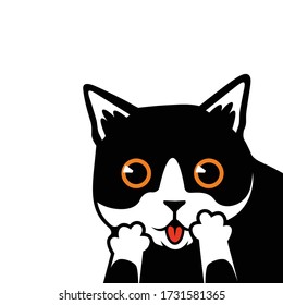 Cute Black and White Cat Amazed Face Vector Illustration - Vector