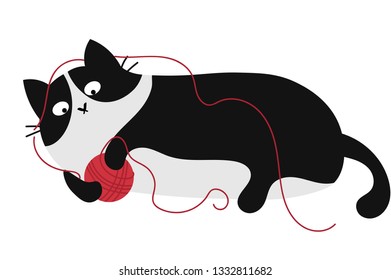 cute black and white cat with a ball of wool