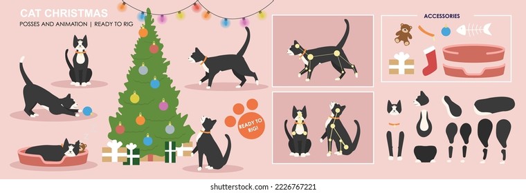 Cute Black and White cat, Christmas scene vector character with multiple poses ready to animate and rig. Xmas vectors, Christmas character. Cat, kitten holidays.