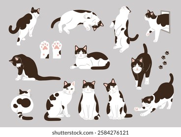 Cute black and white cat illustration set.Vector illustration