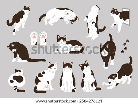 Cute black and white cat illustration set.Vector illustration
