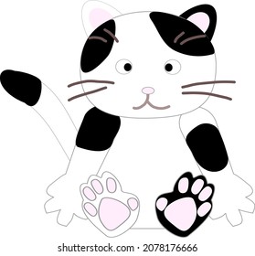 Cute black and white cat to sit on
