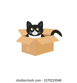 Cute black and white cat is sitting in a cardboard box. Doodle vector illustration.