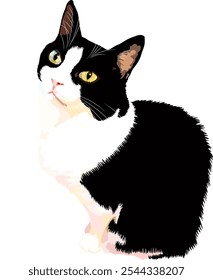 Lindo gato blanco y negro sentado. Ilustración vectorial.