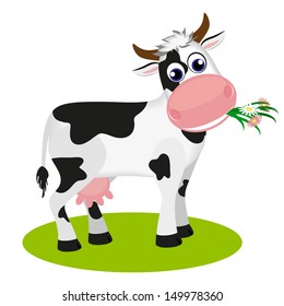 Cute black and white cow eating daisy, isolated on white vector illustration. 