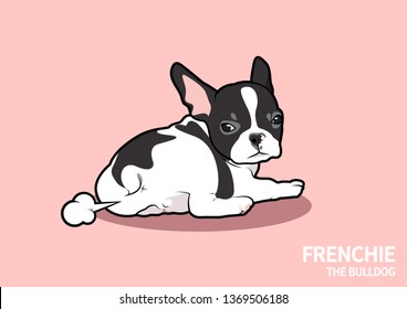 A cute black and white French Bulldog puppy. A little Frenchie is farting and looking back to watch his productivity in pink background.