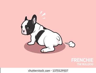 A cute black and white French Bulldog puppy. Alittle frenchie is farting and looking! what does this smell like? Frenchie art in pink background.