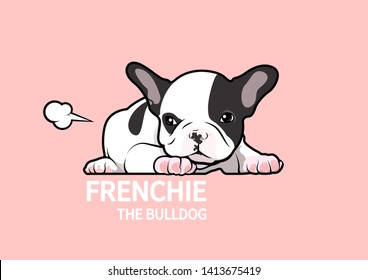 Cute black and white French Bulldog puppy. She is sulking and then farts to relax her mood in the pink background.