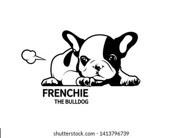 Cute black and white French Bulldog puppy, She is sulking and then farts to relax her mood. Vector illustration capturing the irresistible charm of a cute French Bulldog pup.