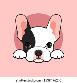 Cute black and white French Bulldog puppy poses at the small open tunnel in pink background. Vector illustration of an adorable black and white French Bulldog pup posing by a small tunnel on a pink BG