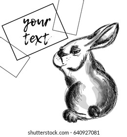 Cute black and white hare card background