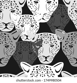 Cute Black And White Jaguar Pattern Seamless
