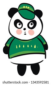 Cute black and white panda dressed in green sweater and green cap vector illustration on white background 