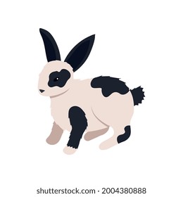 Ilustración vectorial isométrica de 3 d de conejo blanco y negro
