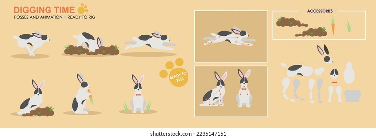 Cute black and white rabbit, bunny eating with accessories ready for animation vector, collection of multiple poses and positions. Bunny eating carrots