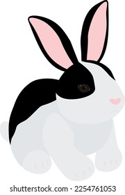 Cute black and white rabbit vector illustration