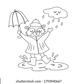 Cute black and white raccoon jumping under the rain with umbrella. Vector line art autumn character isolated on white background. Fall season outline woodland animal icon Funny forest illustration.
