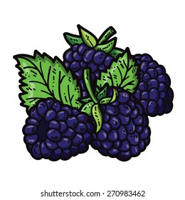 cute blackberries. Vector cute hand drawn colorful blackberries and leaf