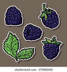 cute blackberries. Vector stickers set of cute hand drawn blackberry