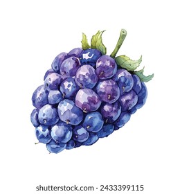 cute blackberry vector illustration in watercolour style
