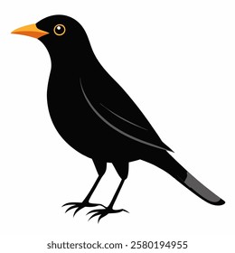 Cute blackbird bird. Suitable for educational posters, logos, children's books and encyclopedias. Children's picture. Vector illustration