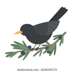 Pássaro negro bonito sentado no galho de zimbro. Ilustração de desenho animado vetorial de pássaro no ramo com bagas azuis no fundo branco.