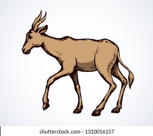 Cute blackbuck sheep hind standing on white backdrop. Freehand linear black ink hand drawn picture logo sketchy in retro art scribble style pen on paper. Closeup side view with space for text on sky