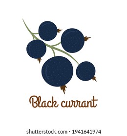 Cute Blackcurrant Isolated On White Background. Vector Illustration.