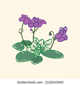 Cute Blooming African Violet In Vector Flat Cartoon Style Art Illustration Design