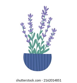 Espliego de espliego en olla, ilustración vectorial plana aislada en fondo blanco. Flores de primavera en flor. Planta de la casa. Elementos interiores extraídos a mano.