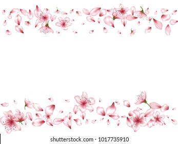 Apple Blossom Borders Images Stock Photos Vectors Shutterstock