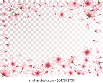 Cute blossom elements, apple or japanese sakura petals flying and flowers falling vector illustration. Spring petals and pink flower vector elements flying, blossom confetti frame on transparent.