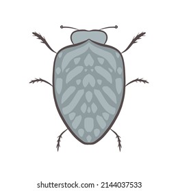 cute blue beetle. summer. Spring. nature