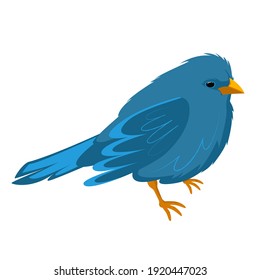 Cute blue bird isolated on white background.