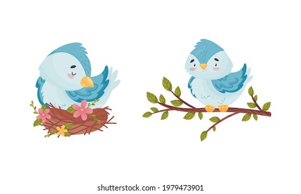 Cute Blue Bird Sitting in the Nest and on Tree Branch Vector Set