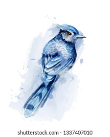 Cute blue bird watercolor Vector isolated on white. Vintage design