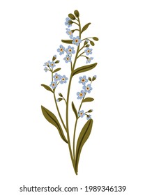 Cute blue branch of forget-me-not flower. Delicate summer herb. Vector illustration in flat style, isolated on white background.